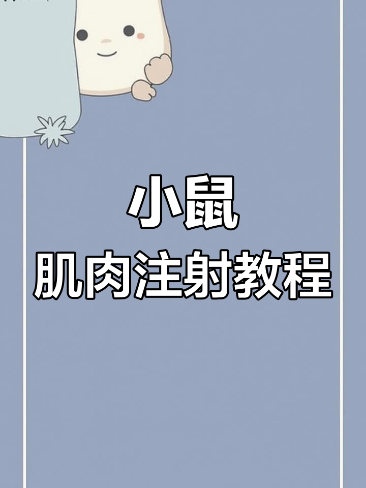 小鼠肌肉注射技巧全解析:从股骨到腓肠肌的精准操作