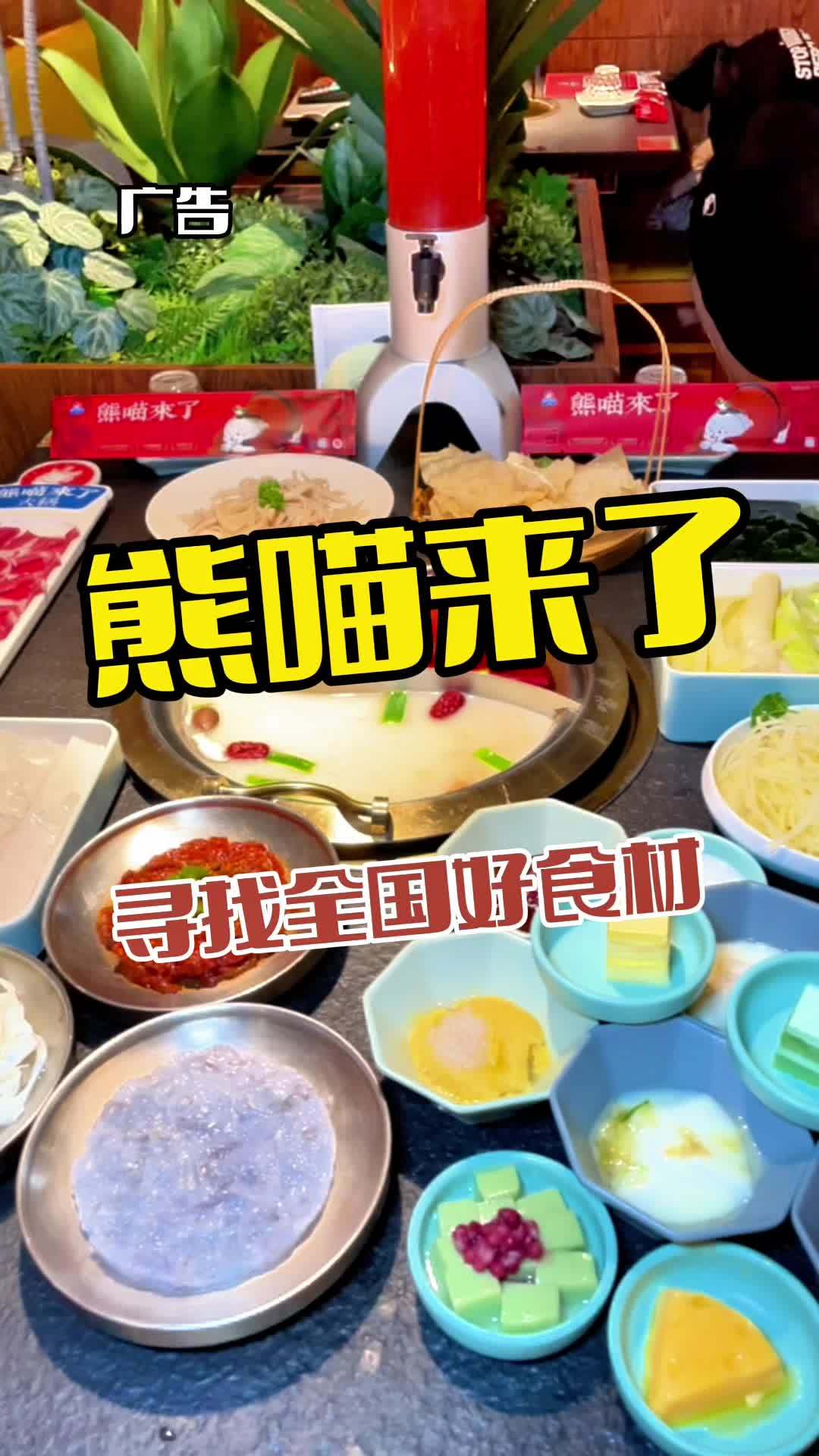 在鲅鱼圈吃火锅就来熊喵来了 熊猫来了 熊猫来了脆笋 火锅约起来 抖音美食推荐官 同城美食