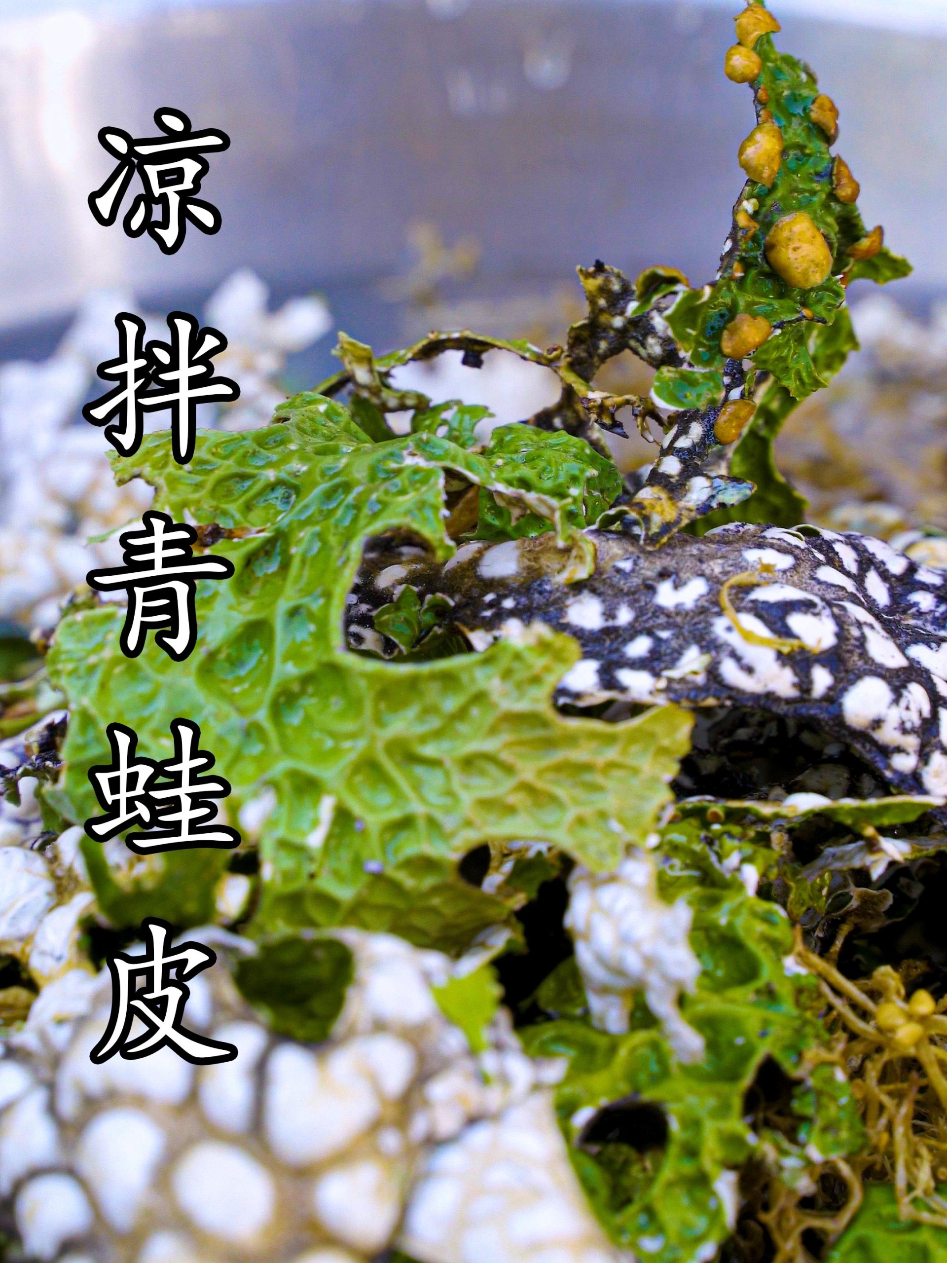 云南十八怪,树皮也当菜