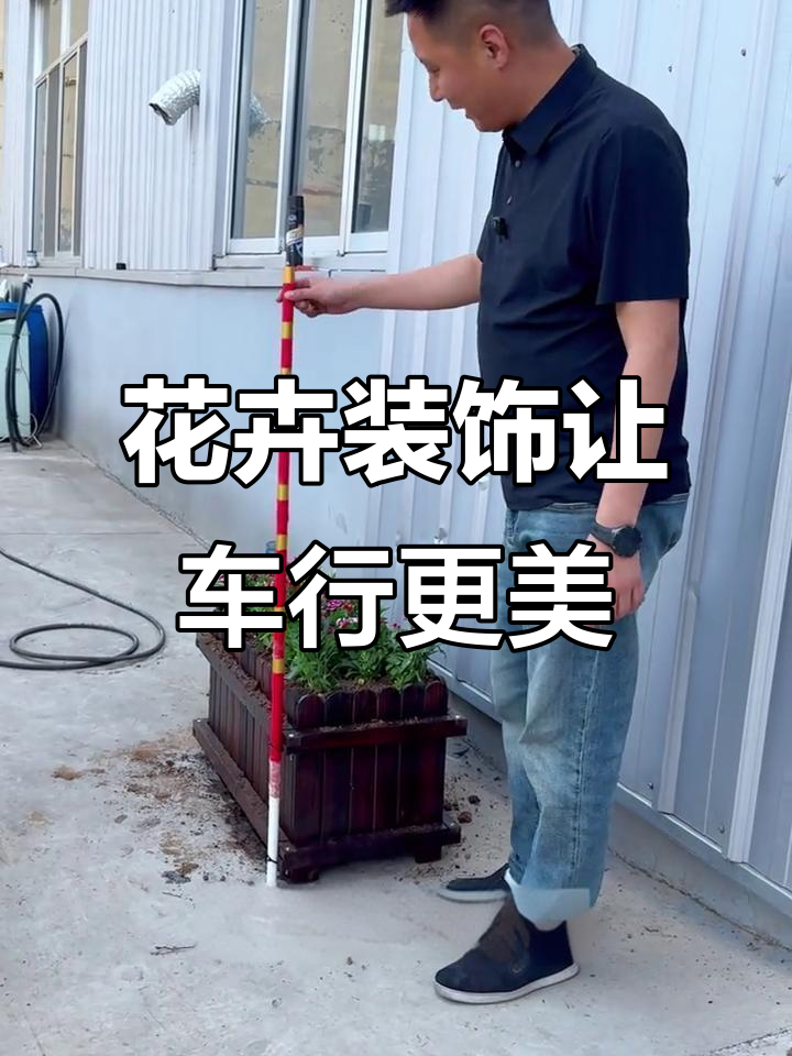 养花提升店铺形象，打造温馨二手车店