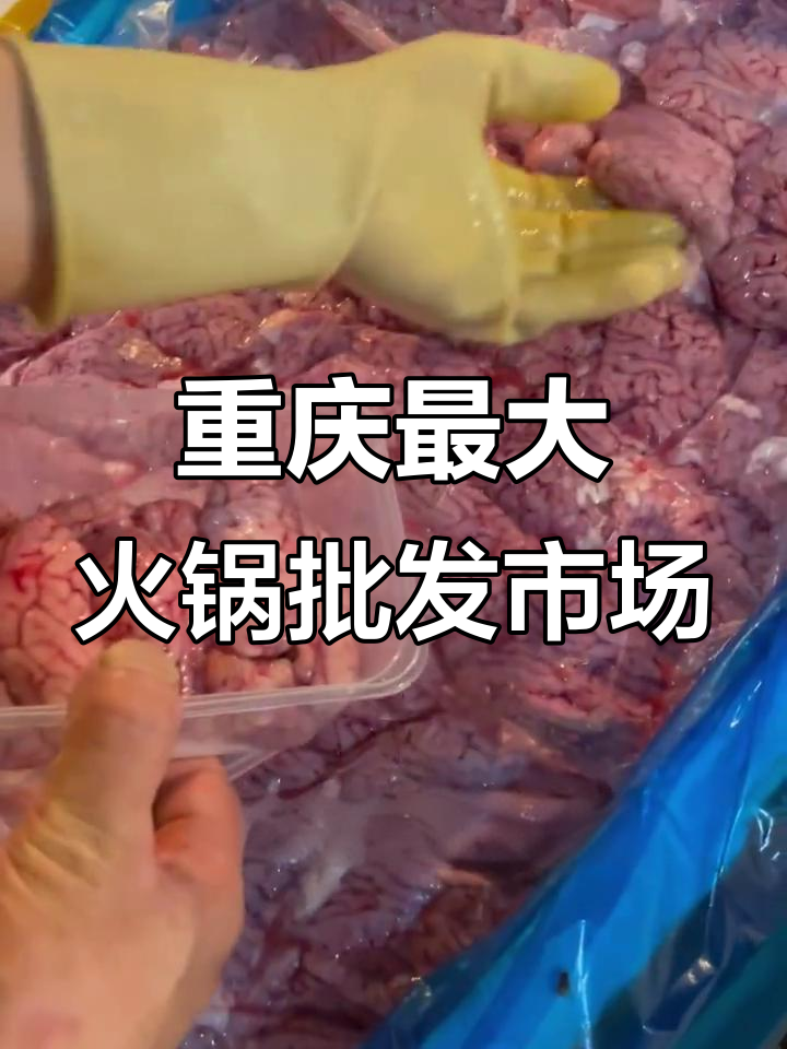 重庆火锅底料批发市场揭秘,本地店家必选食材地