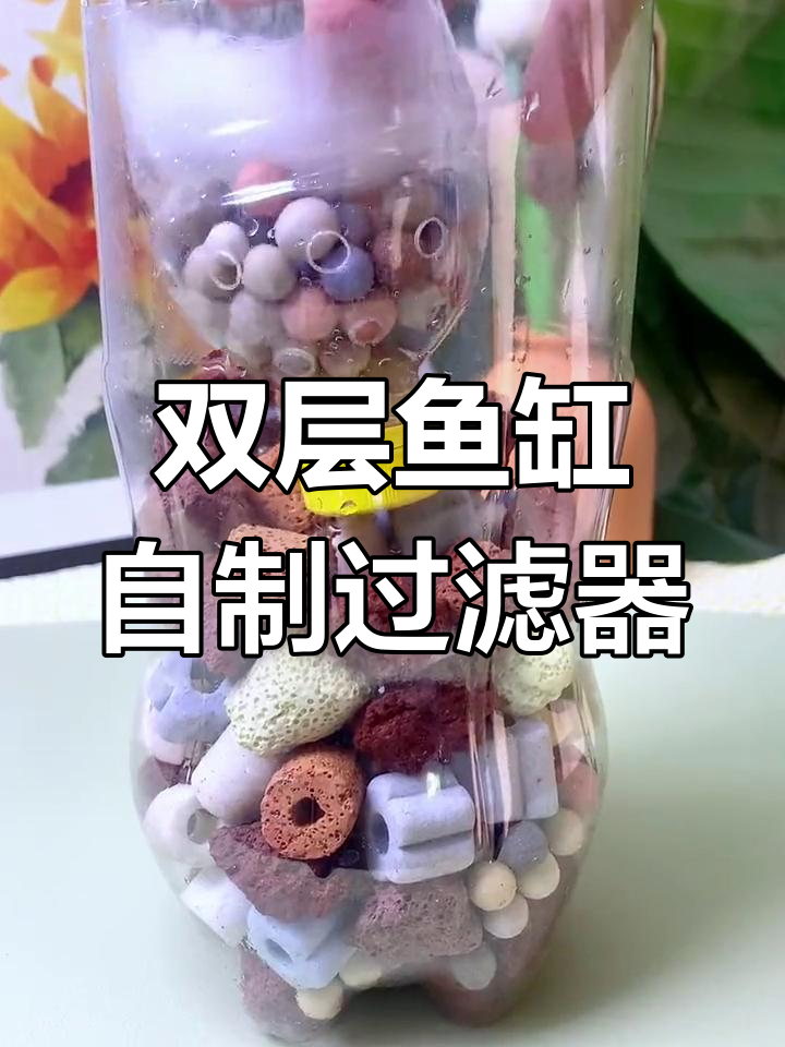 自制双层鱼缸过滤系统,简单又实用