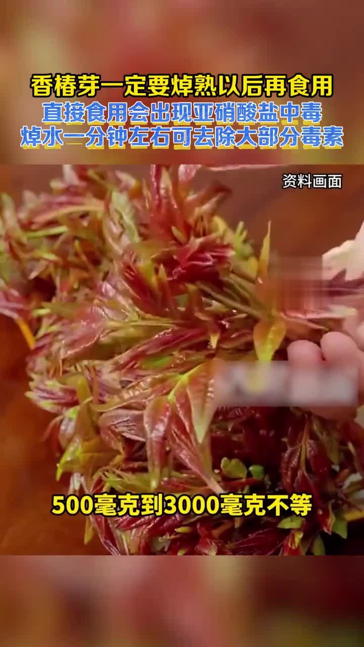 香椿芽一定要焯熟以后再食用,直接食用会出现亚硝酸盐中毒!焯水一分钟左右可去除大部分毒素