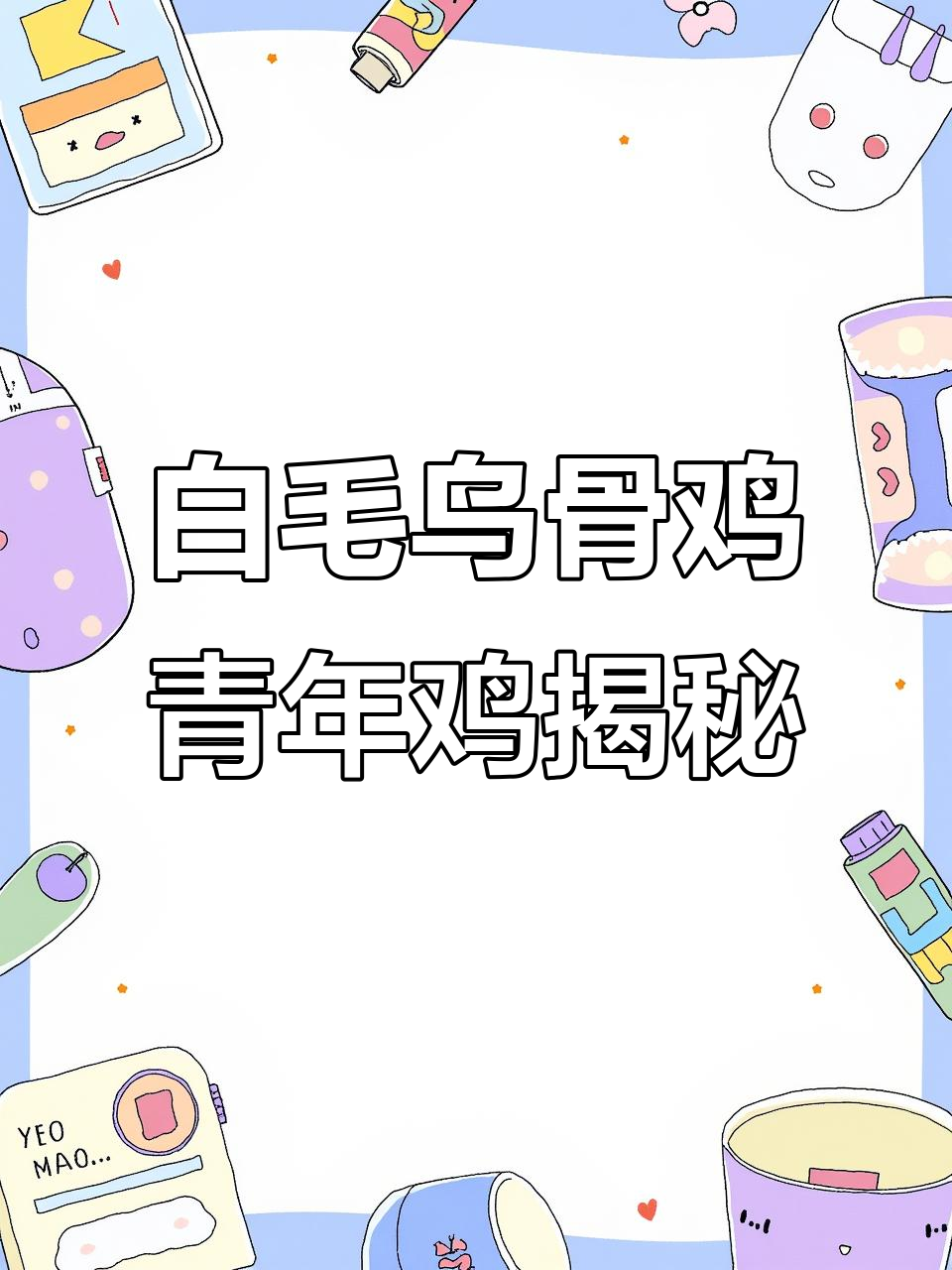 了解白毛乌骨鸡青年鸡：雪白羽毛与独特黑耳蓝嘴