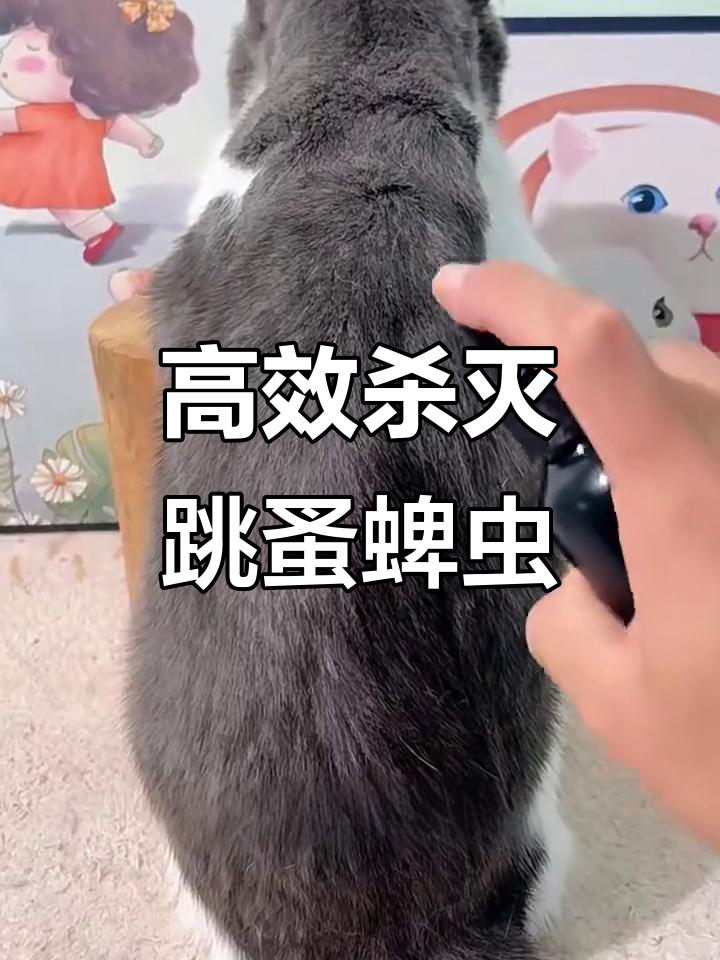 轻松消灭跳蚤和蜱虫,宠物安全无毒