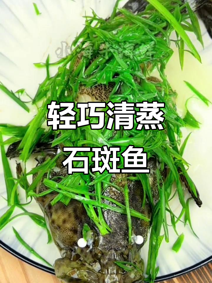 清蒸石斑鱼，简单又美味！海鲜大餐轻松搞定