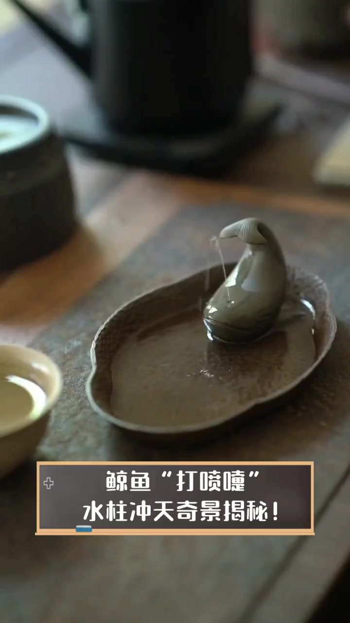 鲸鱼“打喷嚏”,水柱冲天奇景揭秘!
