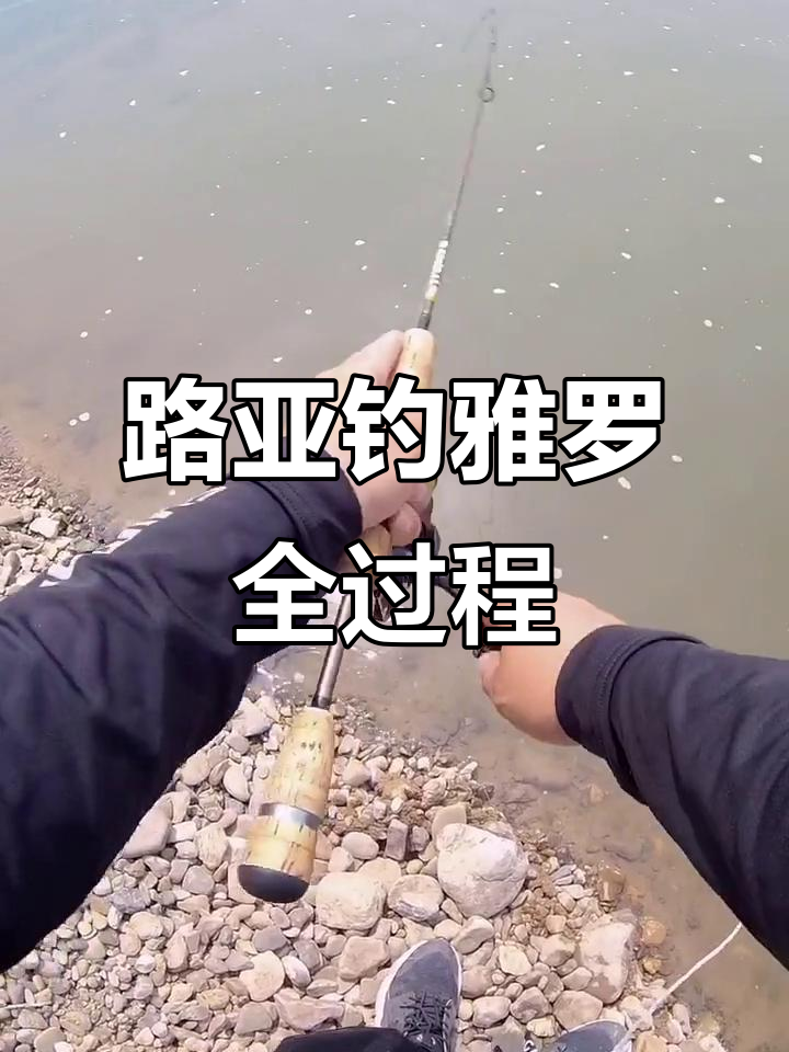 溪流路亚钓雅罗鱼,亮片搭配技巧大揭秘