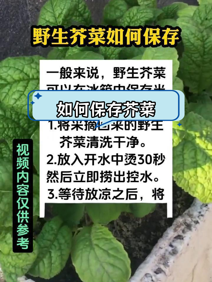 野生芥菜保存方法