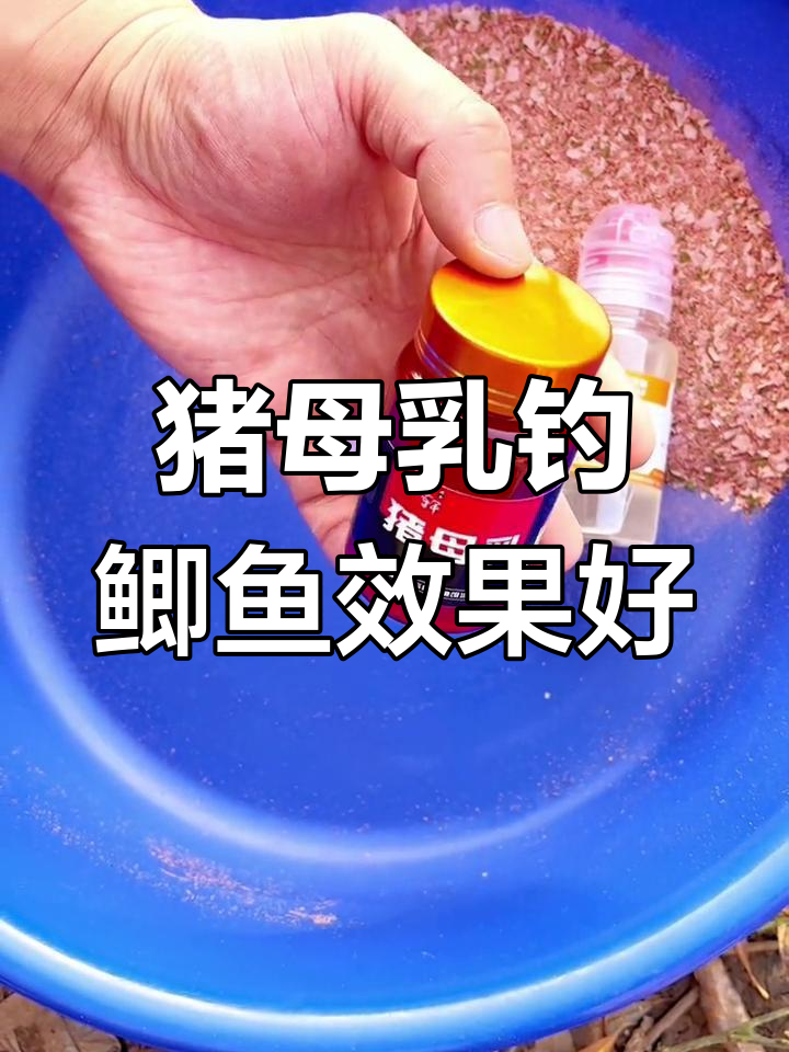 猪母乳在冬季钓鱼中的优势