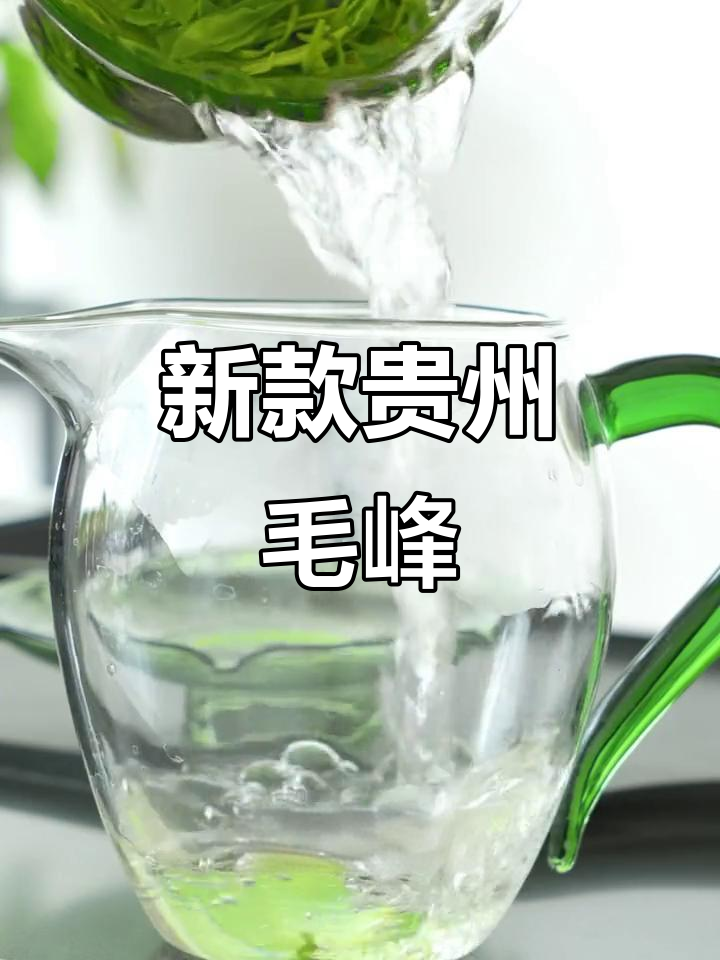 贵州毛峰新风味,清明前后采摘的中小叶种茶树带来独特香气