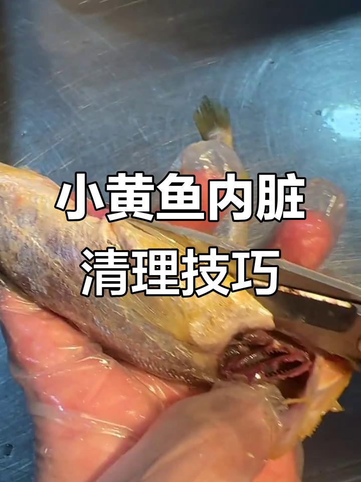如何处理野生小黄鱼的内脏?简单步骤教你搞定