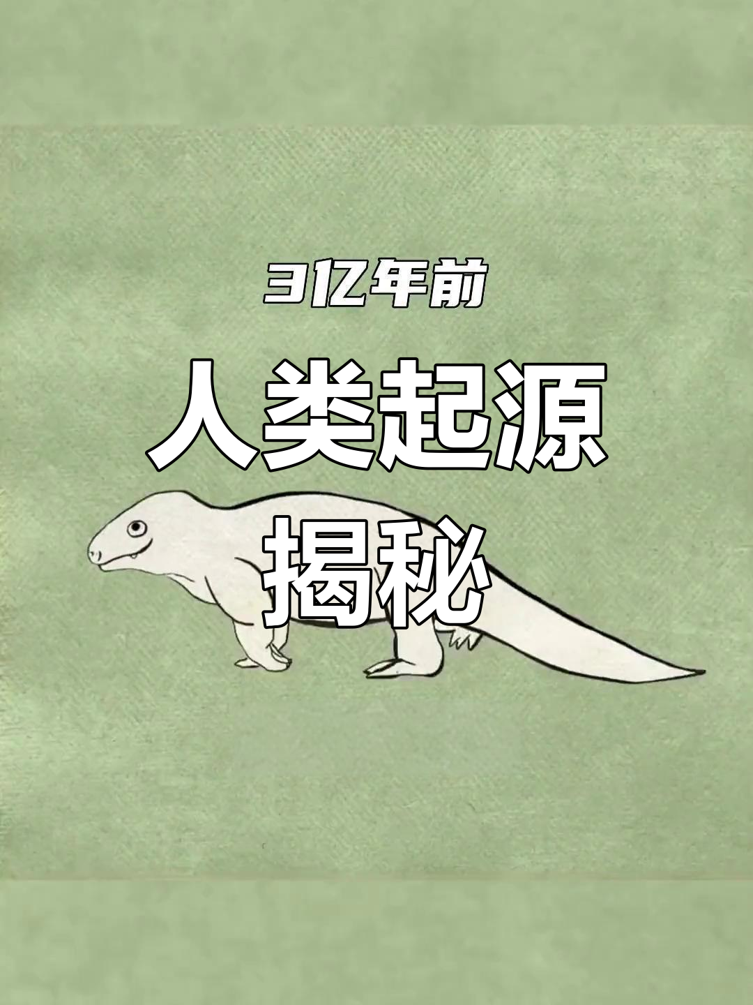 46亿年演化，从鱼到人的奇妙旅程