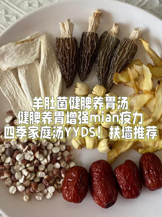 羊肚菌健脾养胃汤健脾养胃增强免疫力