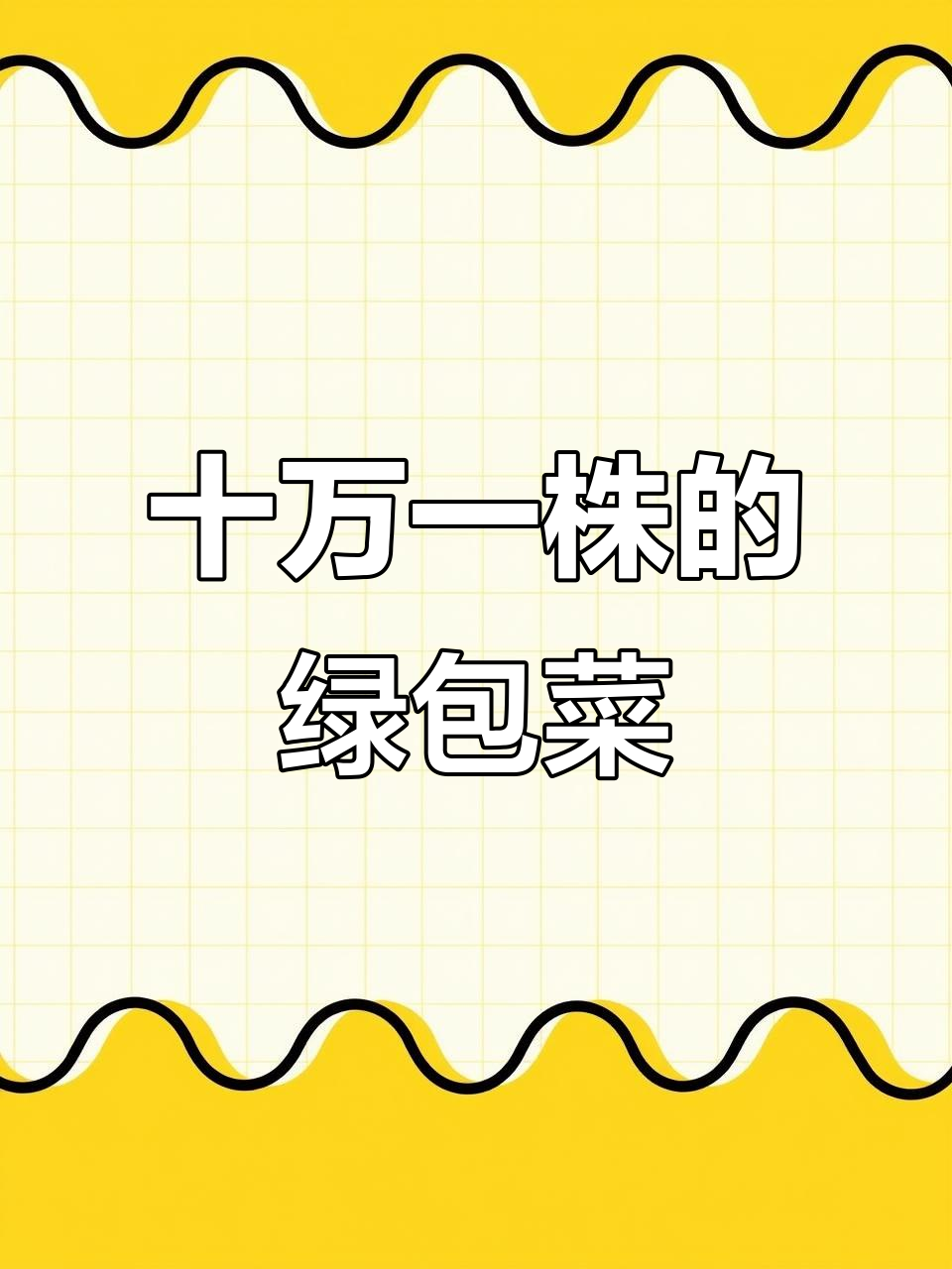 绿包菜为何值10万?揭秘稀有绿色系牡丹的真相
