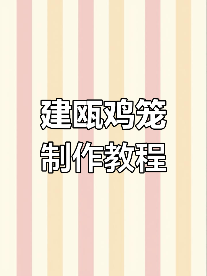 建瓯鸡茸肚丝,传统美味大揭秘