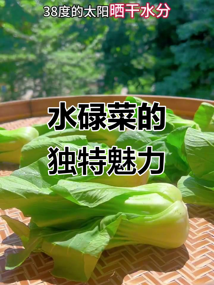 广东家常水碌菜,简单又美味,比山珍海味还受欢迎