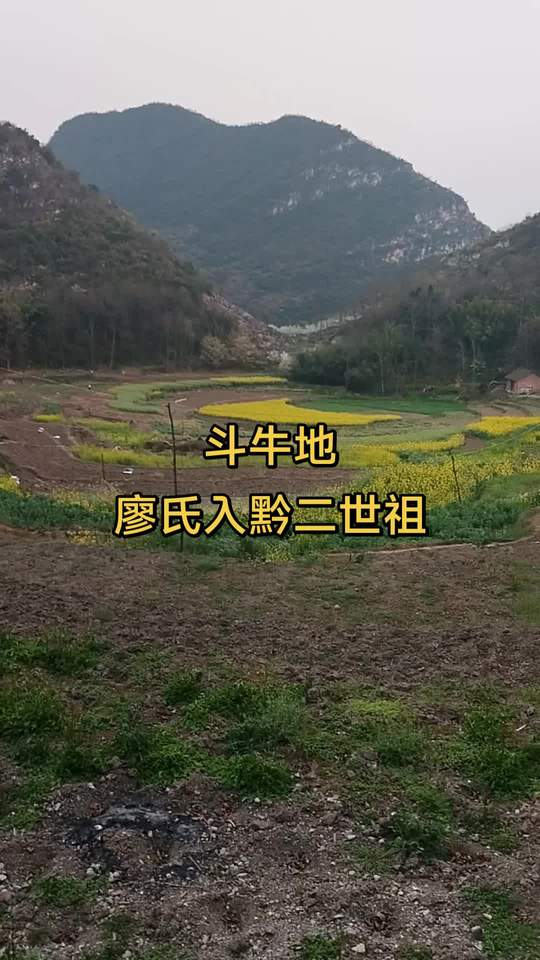 廖氏家族斗牛地，祝你马上成功马上发