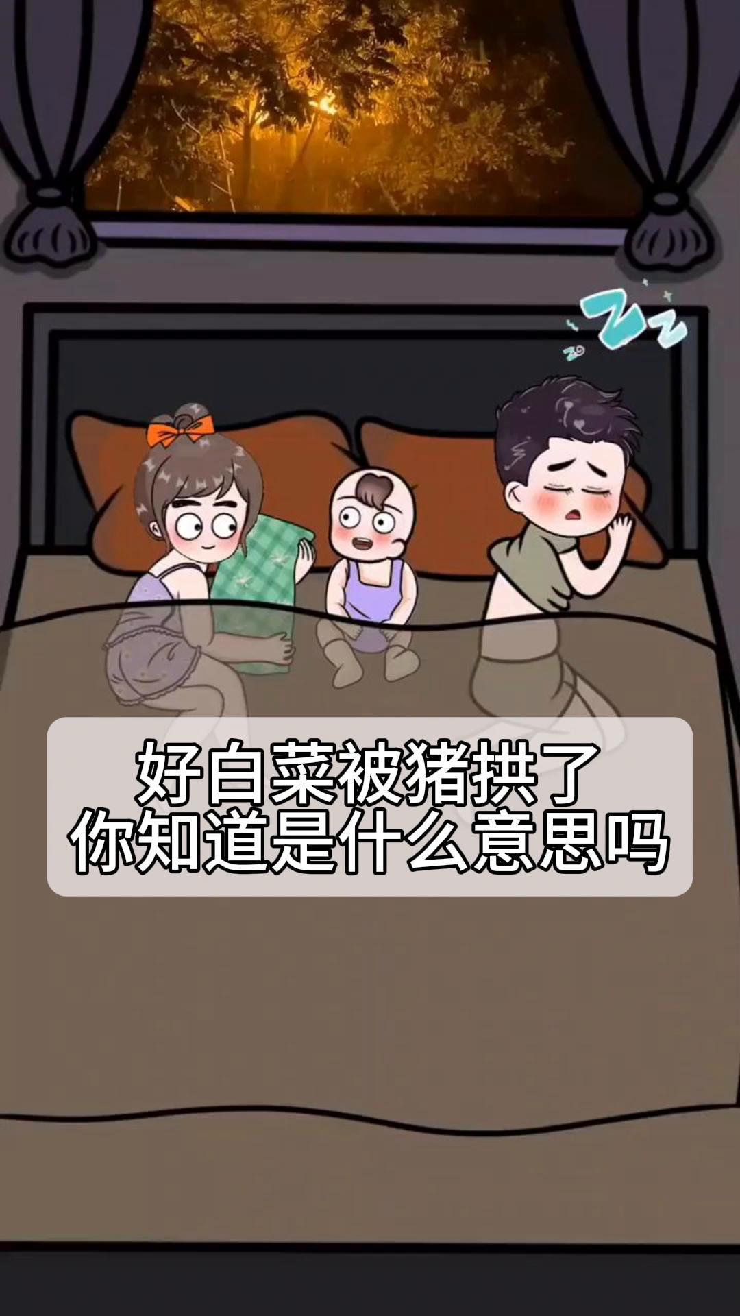 好白菜被猪拱了,你知道是什么意思吗?