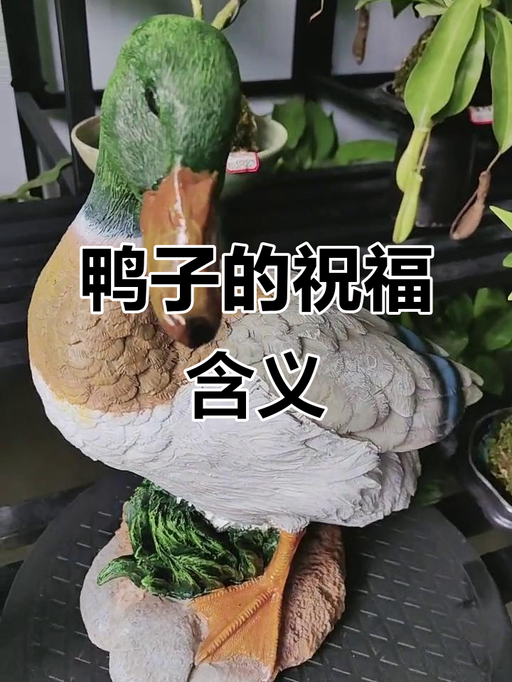 鸭型香薰炉的寓意与文化：送鸭子象征前程似锦