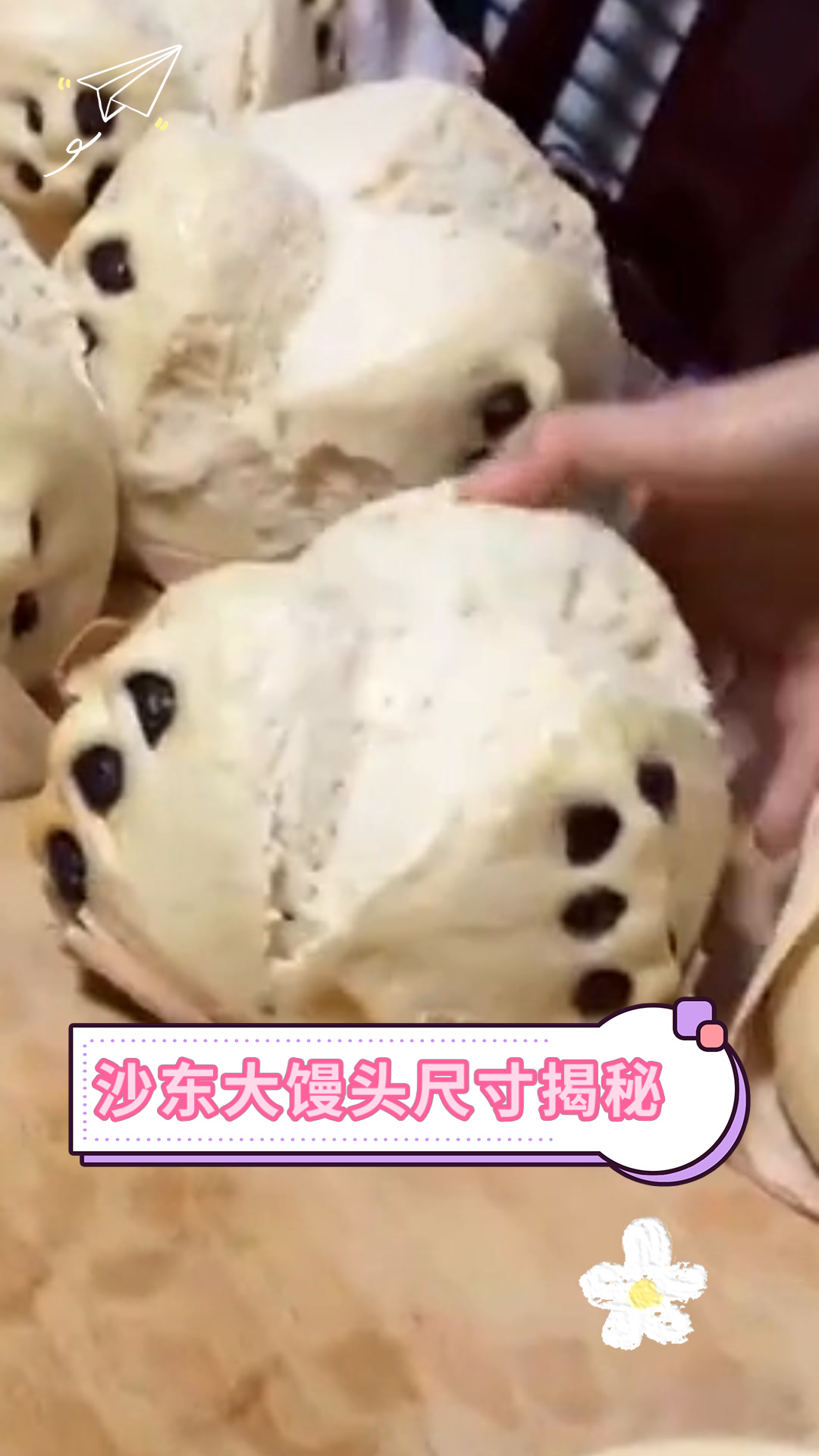 沙东大馒头尺寸揭秘