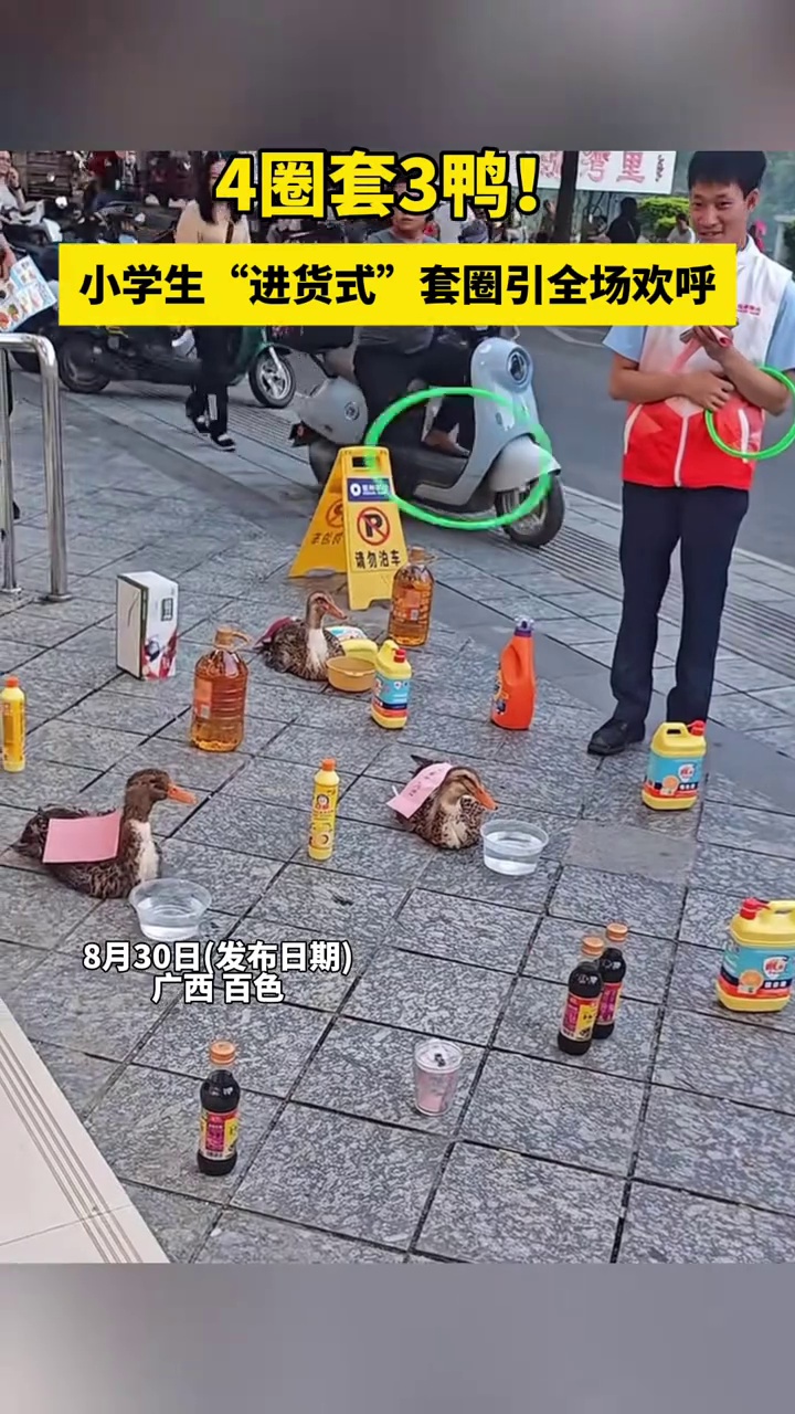 4圈套3鸭!小学生“进货式”套圈引全场欢呼:不要钱套中就能拿走