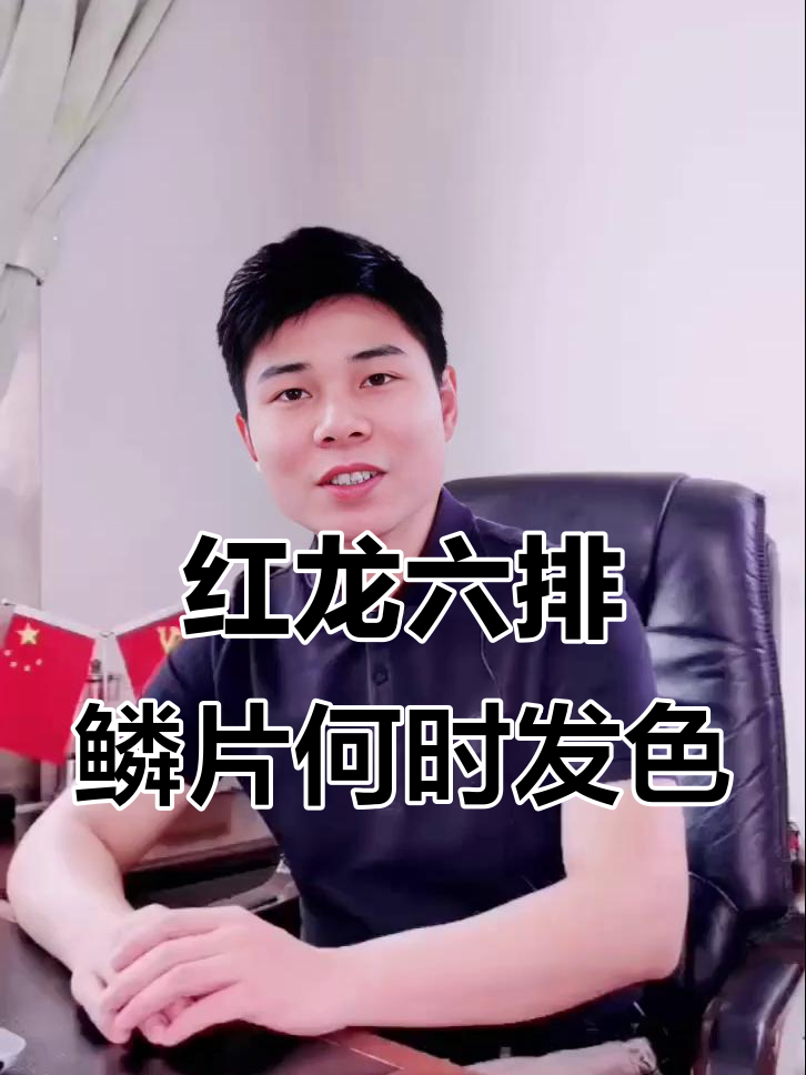 红龙鱼第六排鳞片发色时机揭秘,血统与年龄更重要