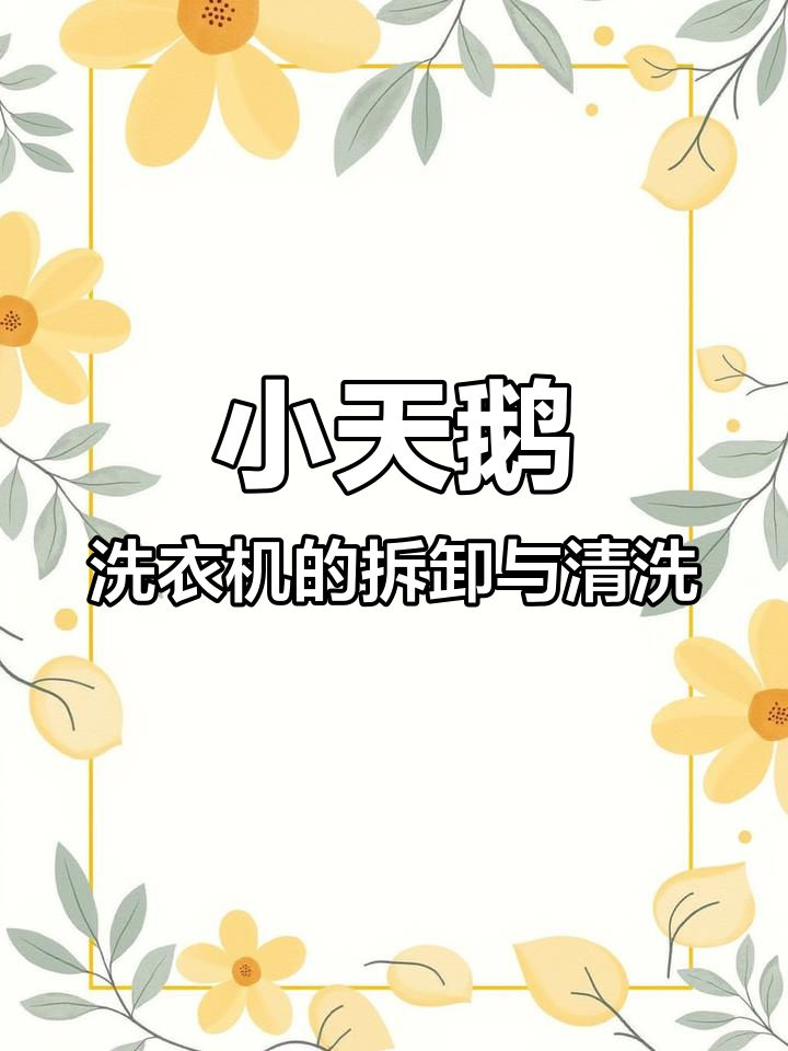 拆解小天鹅滚筒洗衣机,清洗内桶全流程