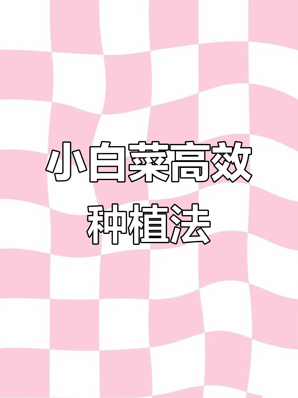 阳台种小白菜,轻松掌握种植技巧