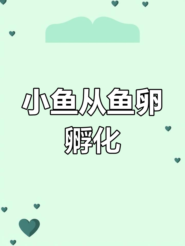 鱼籽瞬间变小鱼,生命奇迹全过程揭秘