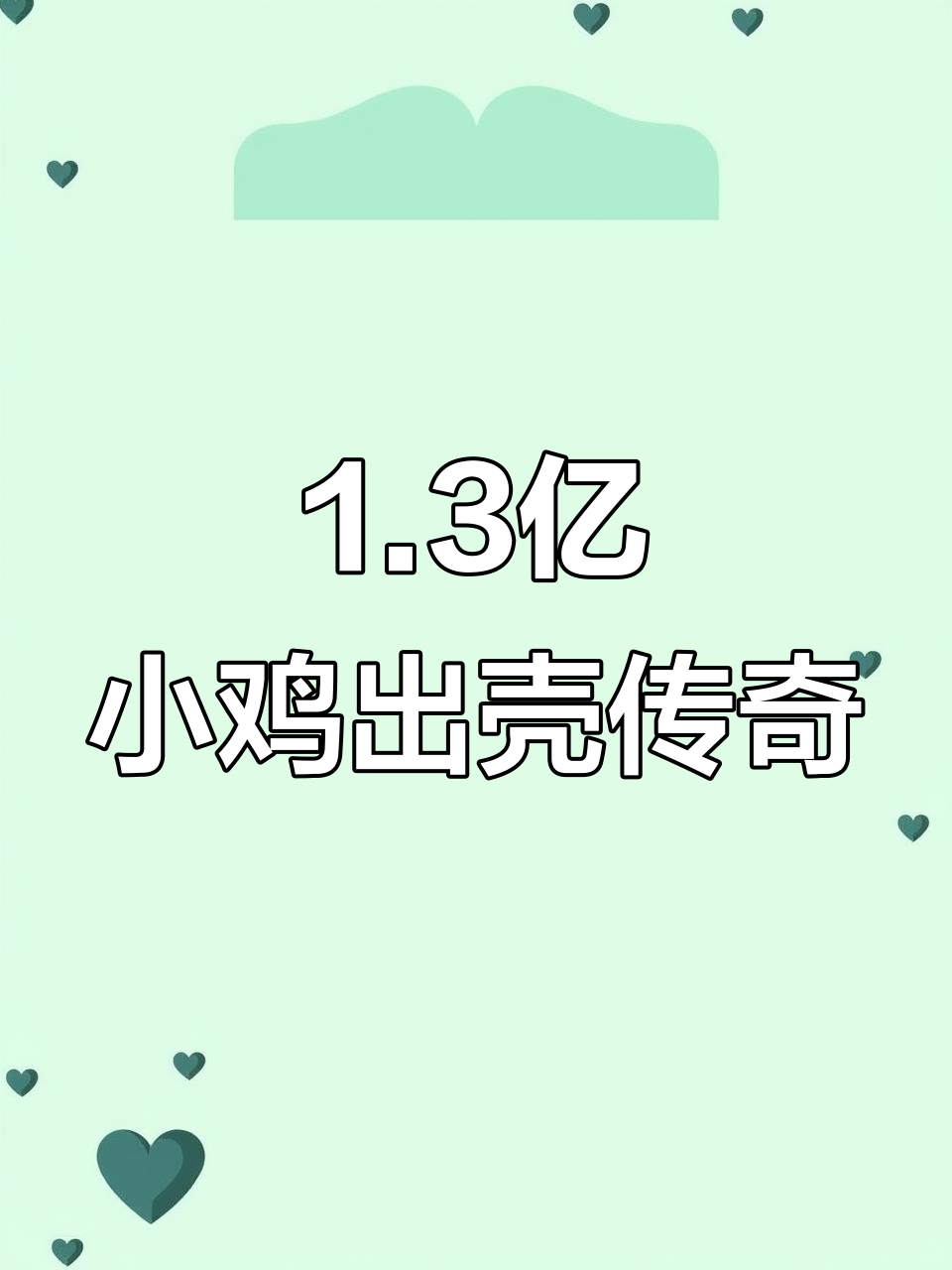 小鸡出壳奇石背后的故事:从张静老先生到五百万新闻