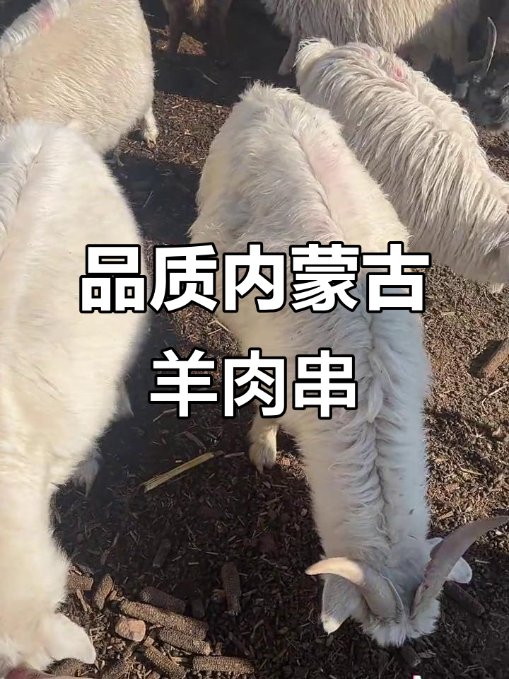 内蒙古羊肉串,牧民手工制作的美味暖冬享受