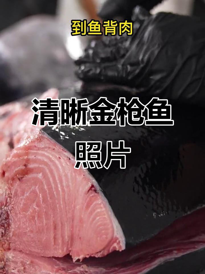 金枪鱼高清真实图片,细节全揭秘