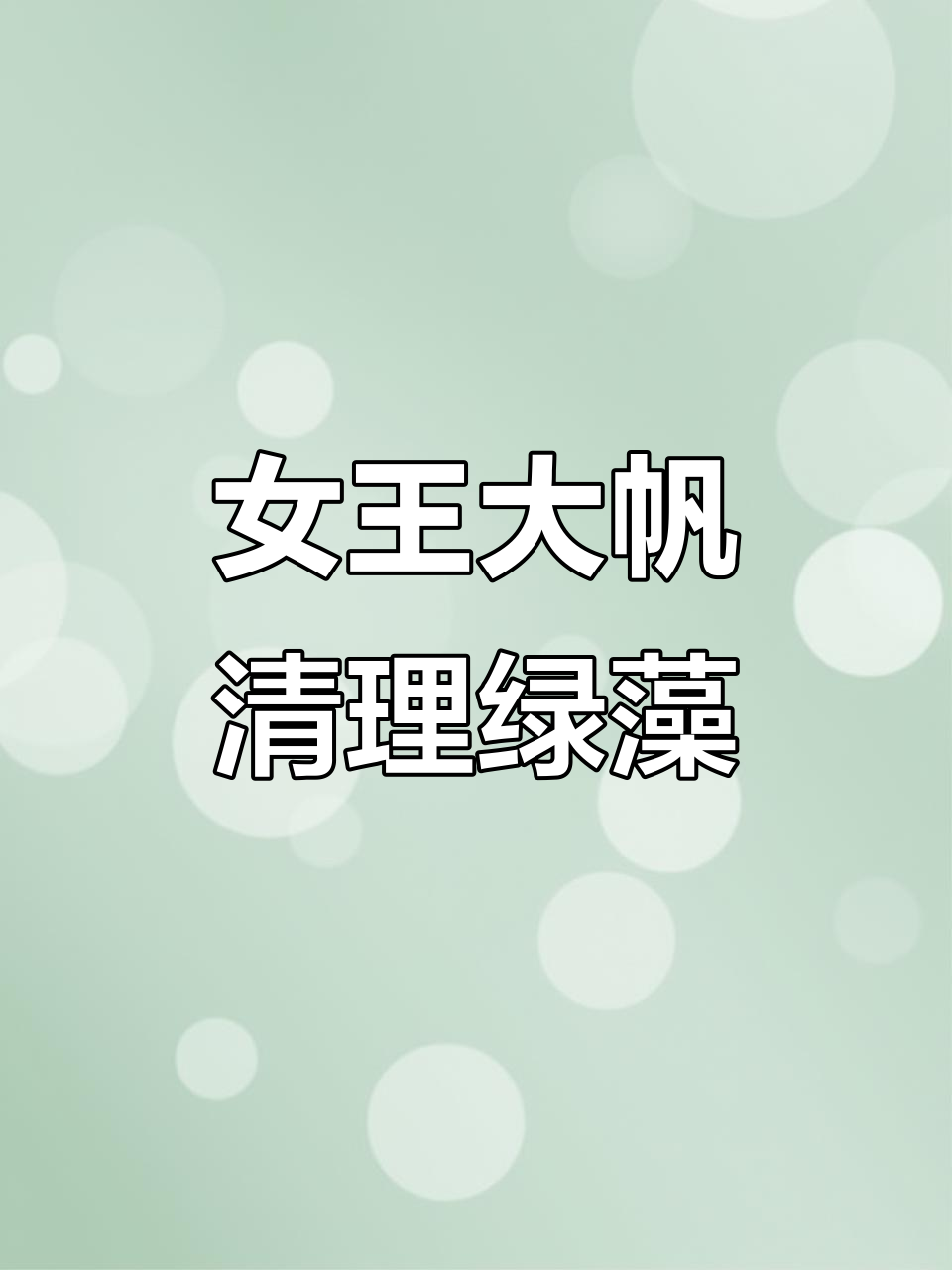 红眼女王大帆:鱼缸里的清洁小能手,不吸鱼、无攻击性