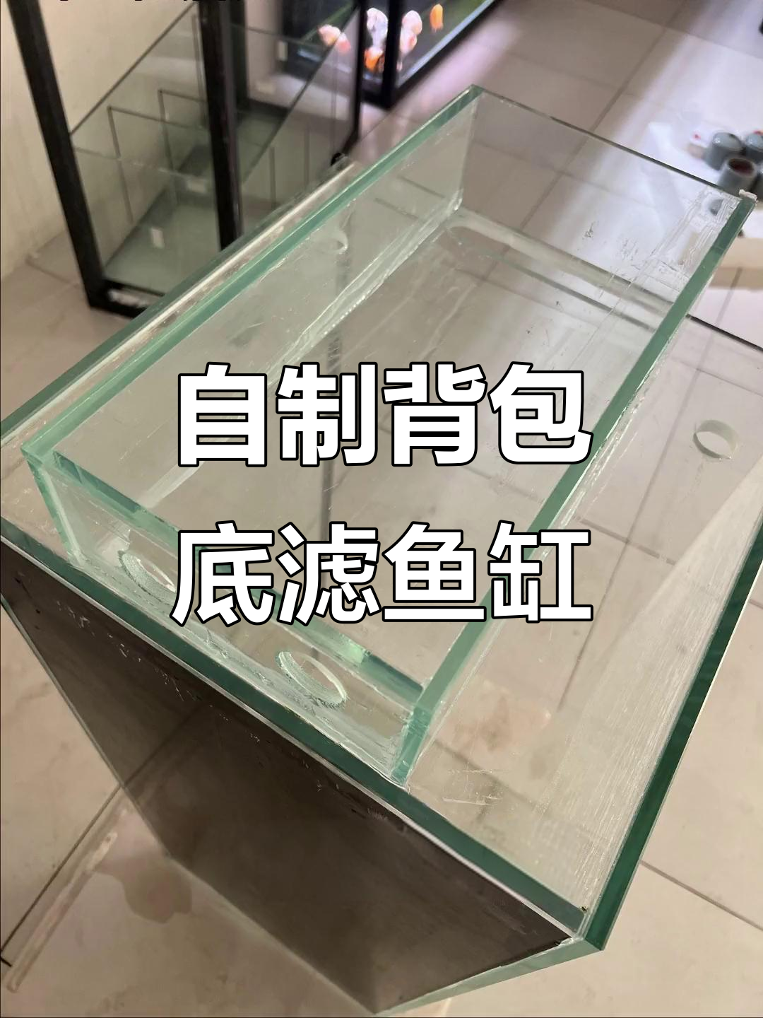 手动改造背包底滤鱼缸,效果堪忧但过程有趣