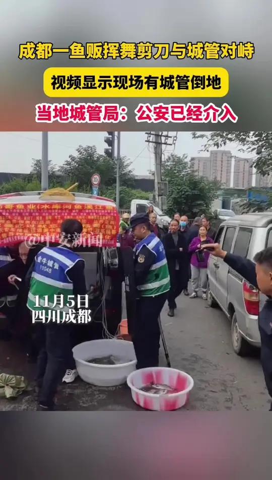 11月5日,网传四川成都卖鱼摊贩与城管发生冲突,视频中有城管抢夺卖鱼摊贩装鱼的盆,有城管使