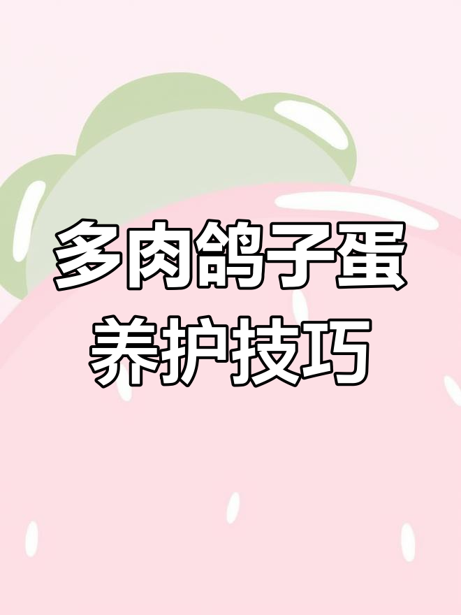 鸽子蛋多肉养护全攻略:透气、遮阳,轻松搞定!