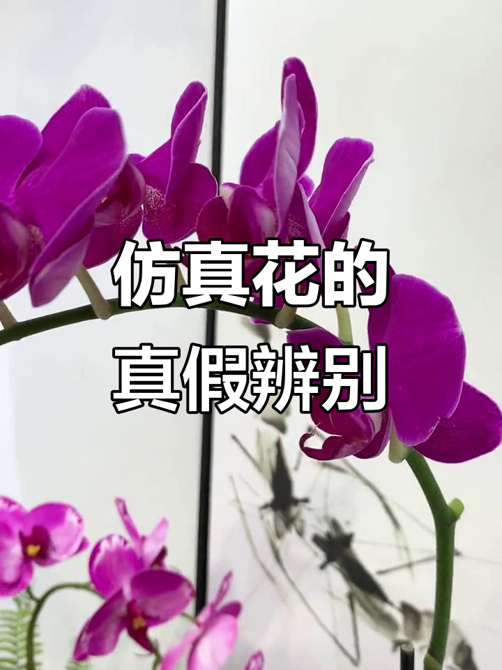 仿真花品质如何判断?细节决定真伪