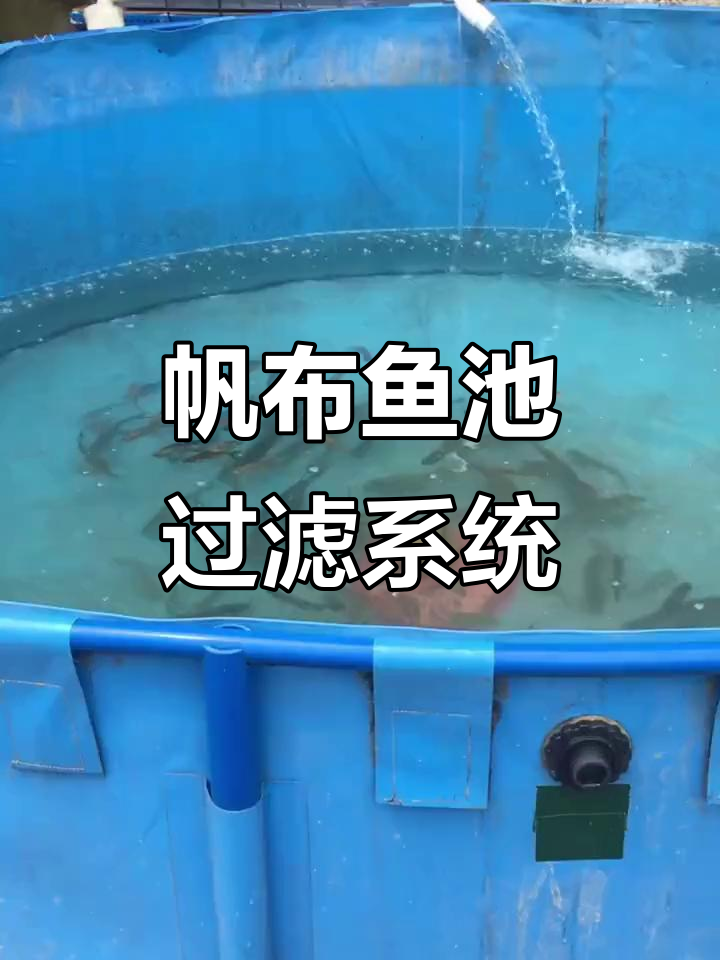 自制帆布鱼池与过滤系统，轻松打造生态养鱼环境