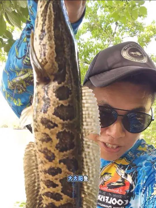 黑鱼和巴掌太阳鱼同时拿下，你们说我分享的标点如何？反正我上鱼 #路亚才是顶级户外运动 #必