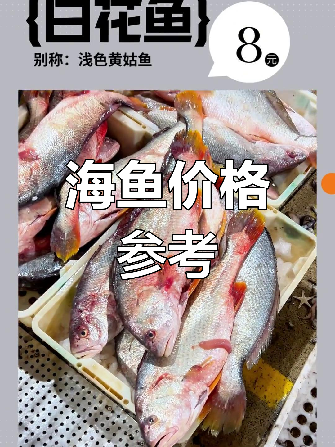 深海鱼价格解析(上)
