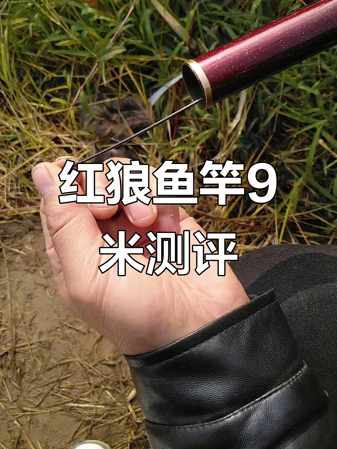 山东威海红狼鱼竿评测:9米杆子质量如何?