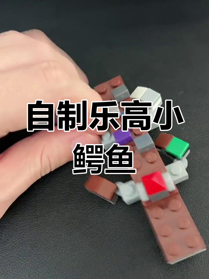 乐高小鳄鱼,虽然不像但我觉得还好