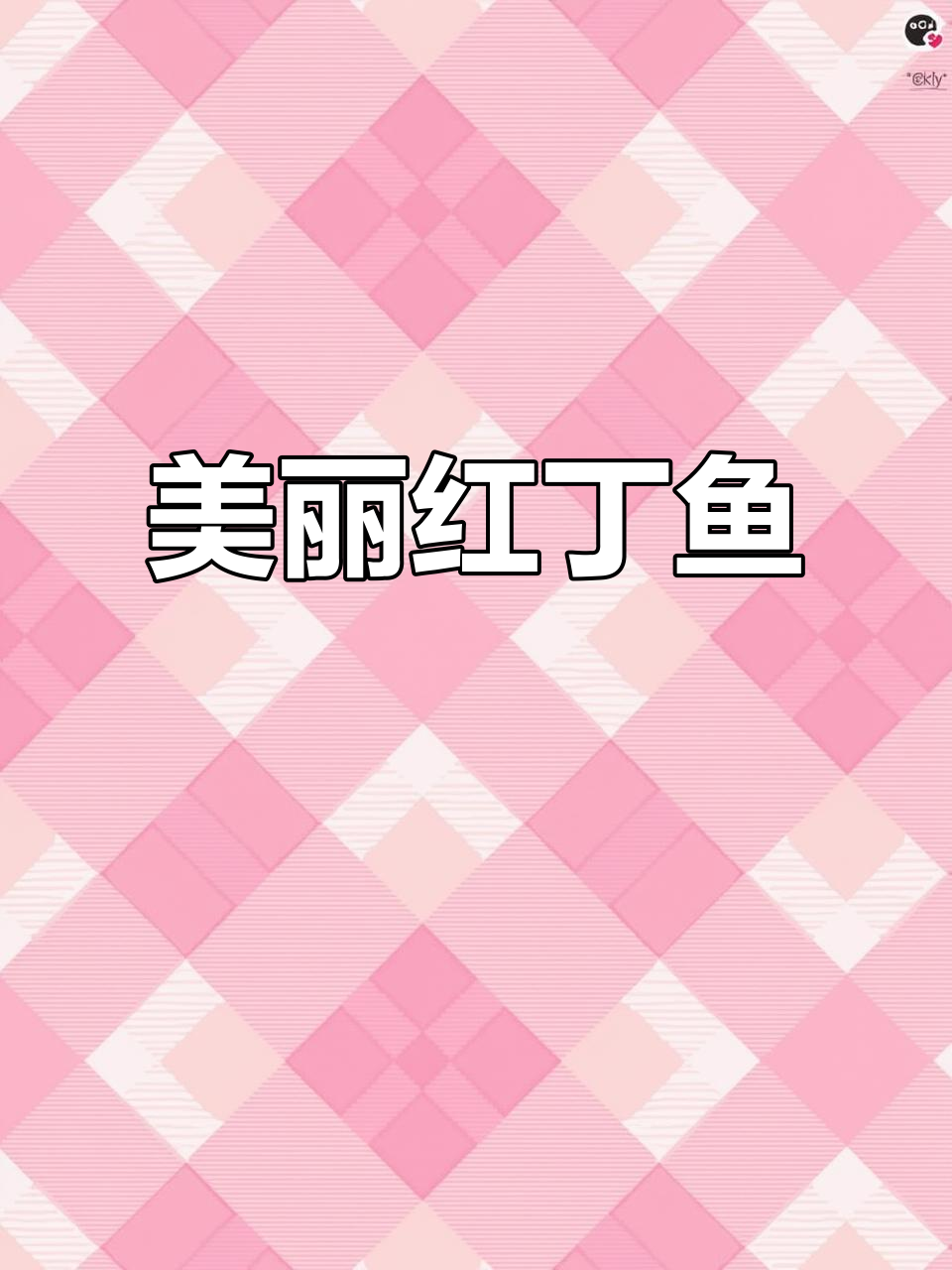 红丁鱼:像玫瑰一样美丽的海鲜,肉质鲜嫩无比