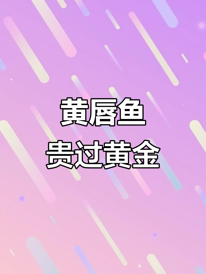 见过比黄金还贵的鱼吗？黄唇鱼的秘密揭秘