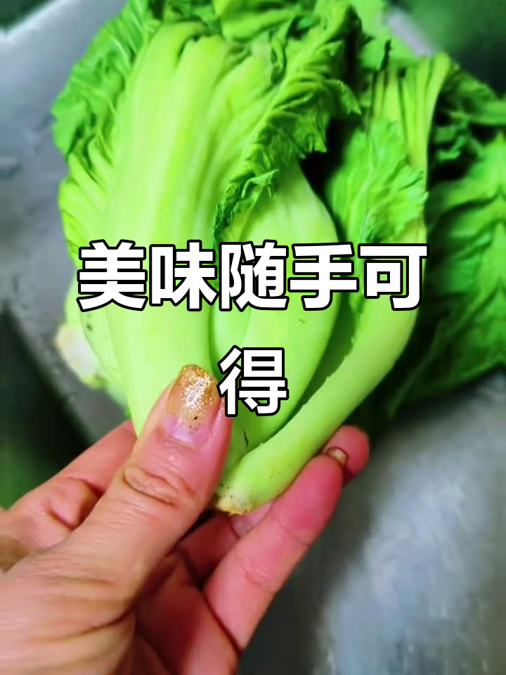将水东芥菜移至小院，轻松煮汤，味蕾享受即刻拥有