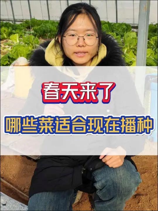 春天来了,哪些蔬菜适合现在种植呢