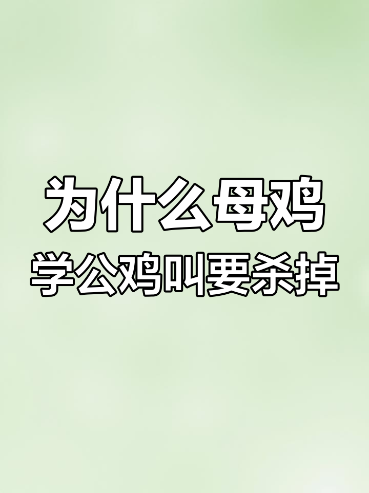 母鸡打鸣竟是这种原因,赶紧杀掉它?