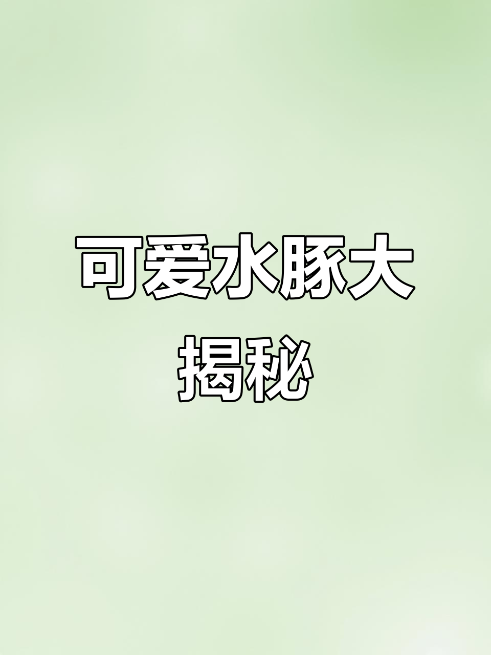 水豚嘟嘟:看似像老鼠,实则捕猎迅速的南美食肉动物