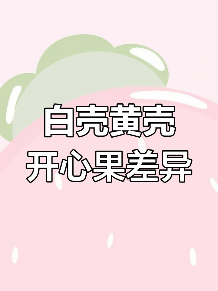 开心果白壳与黄壳的区别解析,选购更合适
